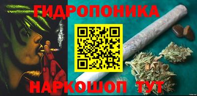 спиды Аргун