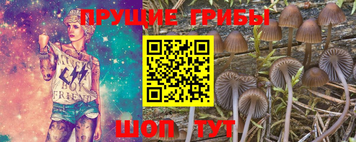 Великий Устюг  Галлюциногенные грибы Magic Shrooms  Вход с VPN 