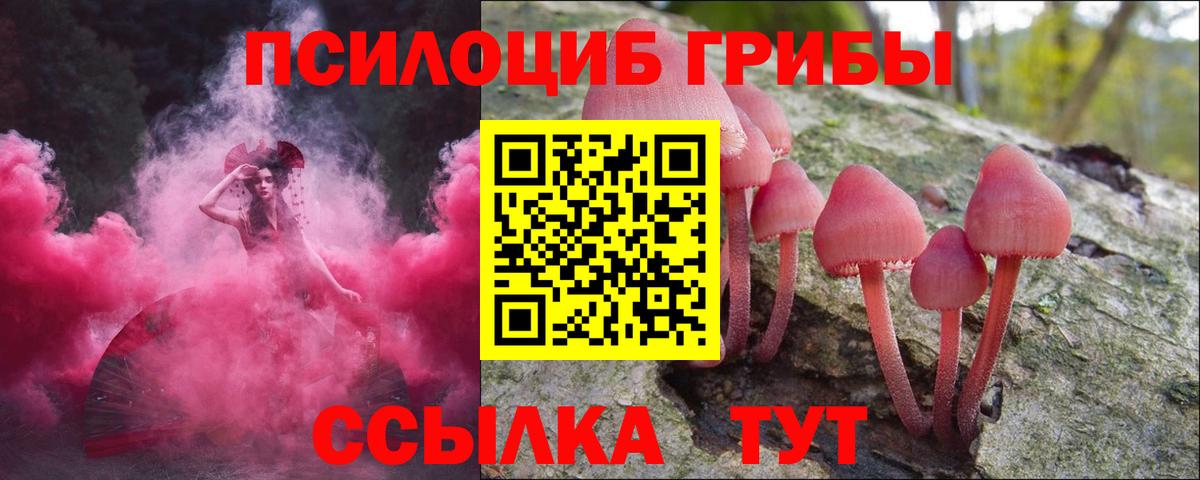 Псилоцибиновые грибы прущие грибы Великий Устюг